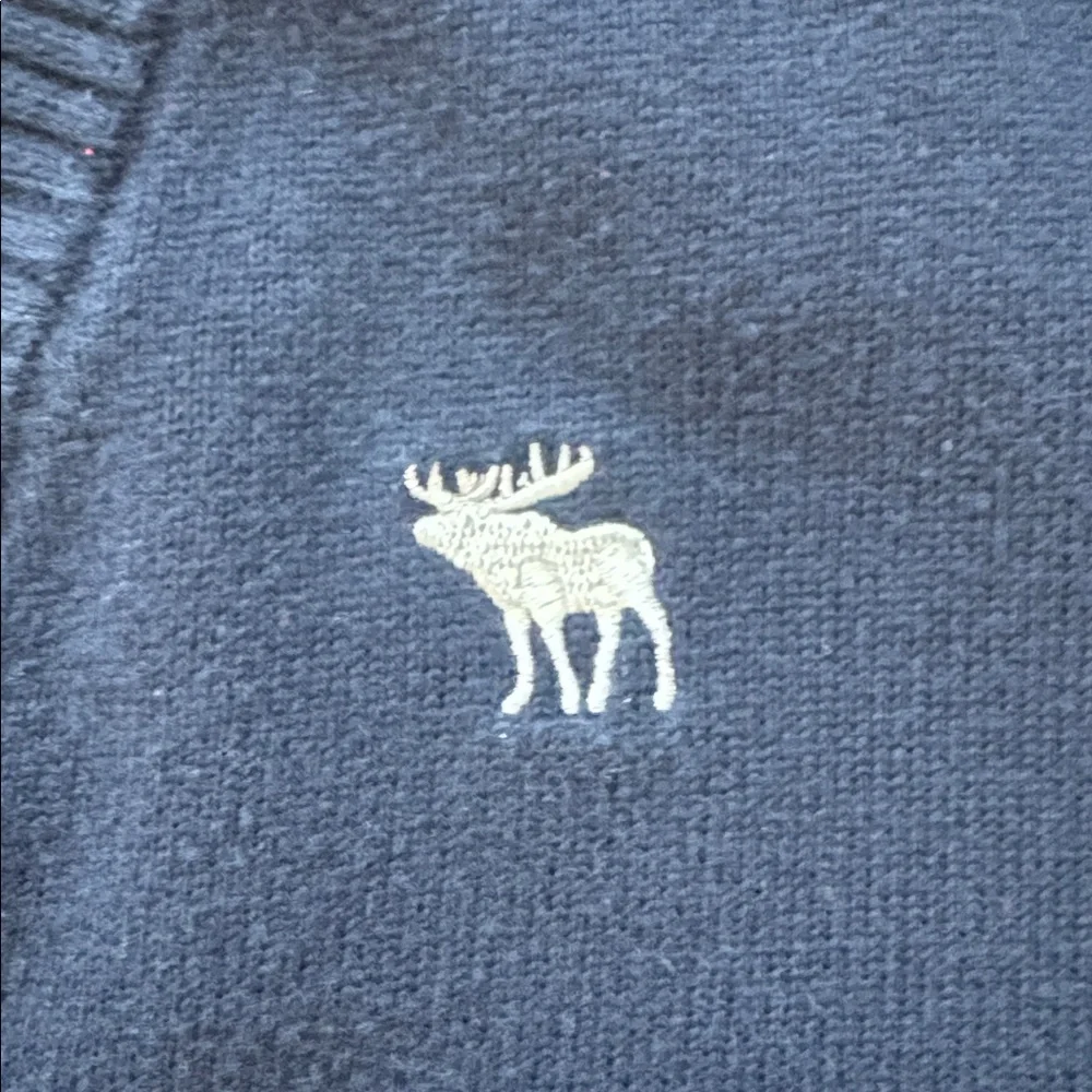 Abercrombie & Fitch Men's V-Neck Sweater Blue Medium 2000s Classic Moose Logo